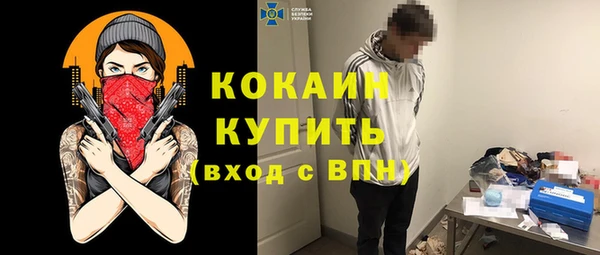 гидра Бородино