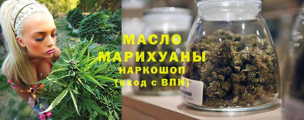гидра Бородино